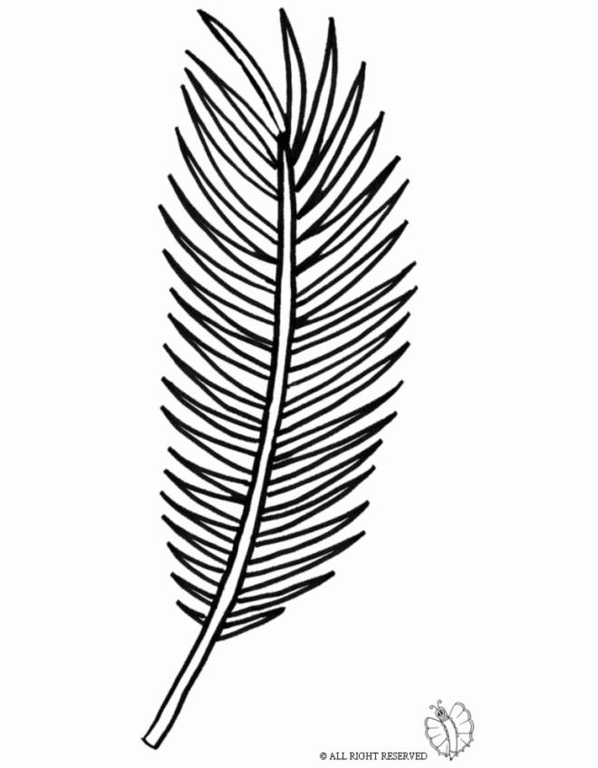 Free Linear of Palm Leaves Coloring Pages printable