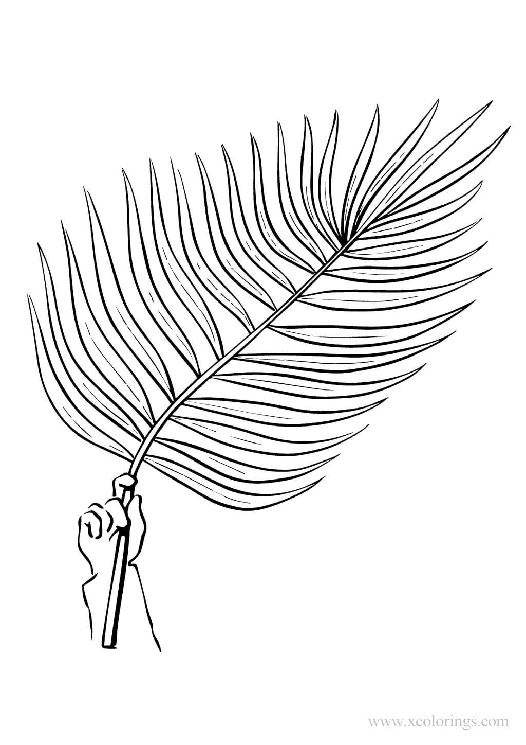 Free Palm Leaves In Hand Coloring Pages printable
