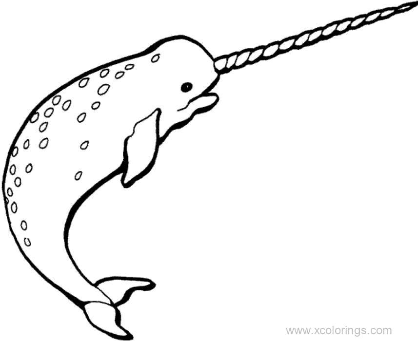 nice-coloring-page-narwhal-that-you-must-know-you-re-in-good-company