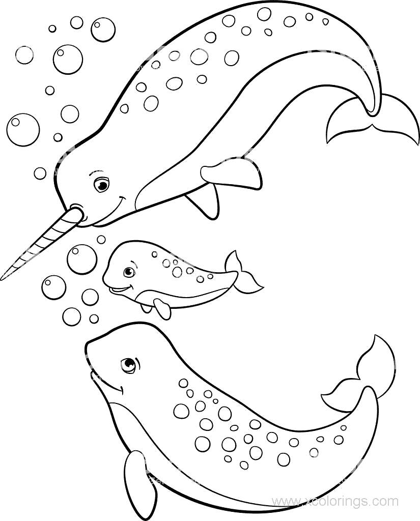 Free Narwhal Family Coloring Pages printable