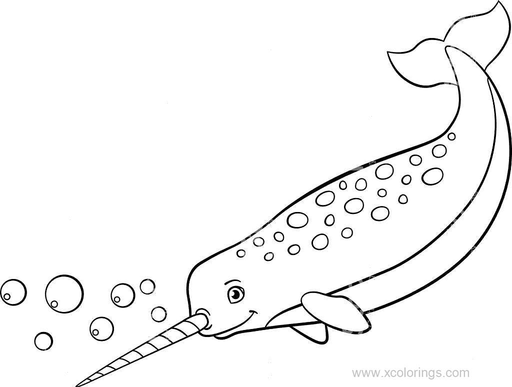Free Narwhal Outline Coloring Pages printable