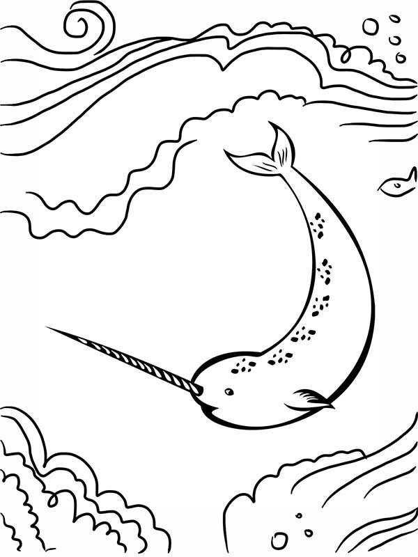 Free Narwhal Under Sea Coloring Pages printable