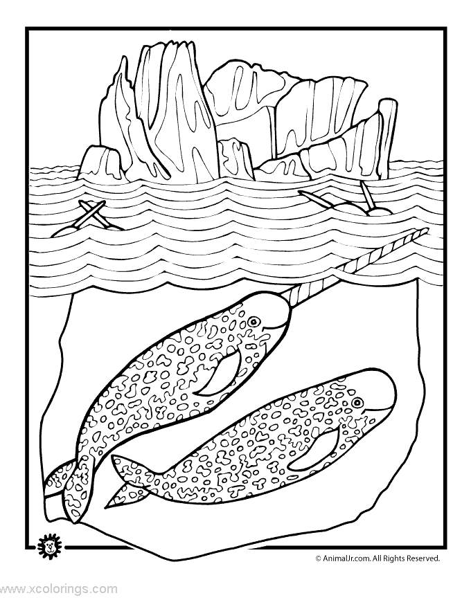 Free Narwhal and Iceberg Coloring Pages printable