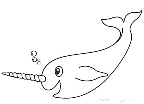 Free Narwhal coloring page for Preschoolers printable