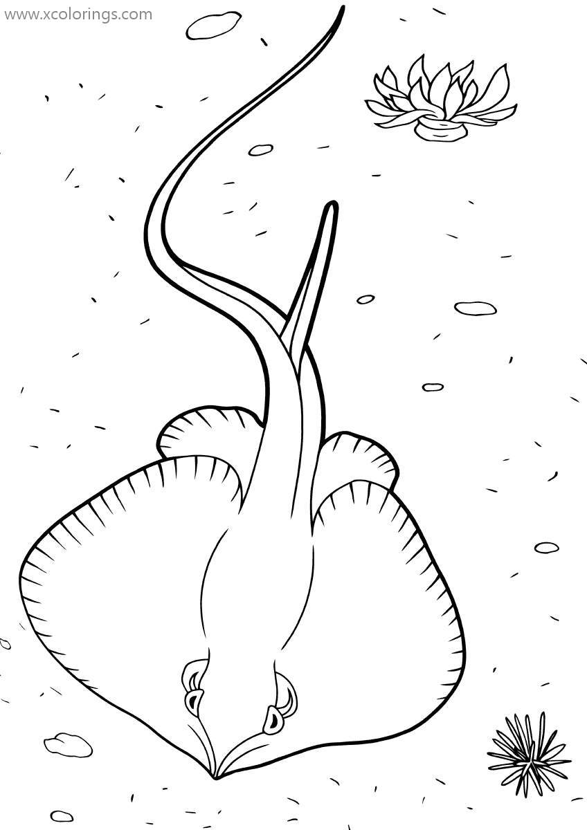 Free Atlantic Stingray Coloring Pages printable