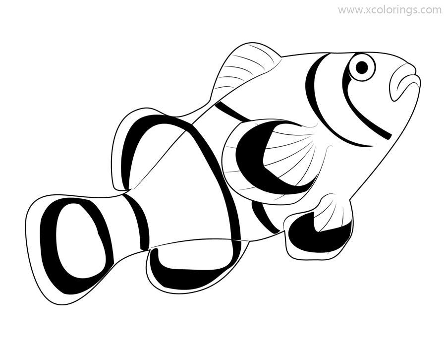 Free Black and White Clownfish Coloring Pages printable
