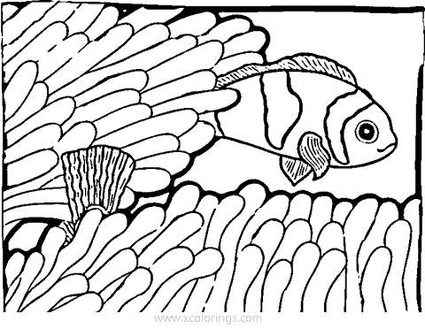 Free Clown Fish and Coral Coloring Pages printable