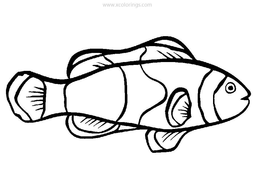 Free Coral Reef Clownfish Coloring Pages printable