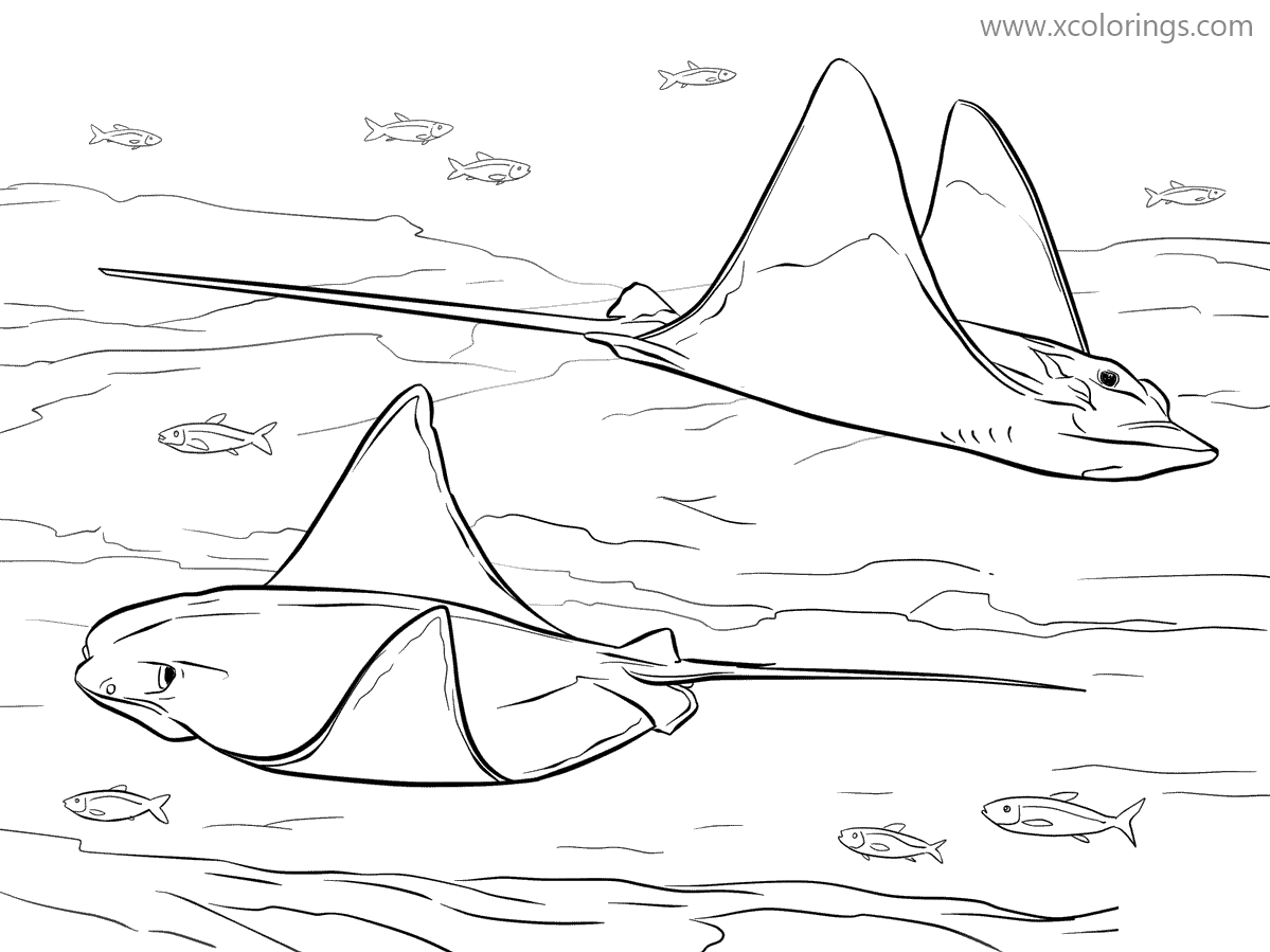 Free Cownose Stingray Coloring Pages printable