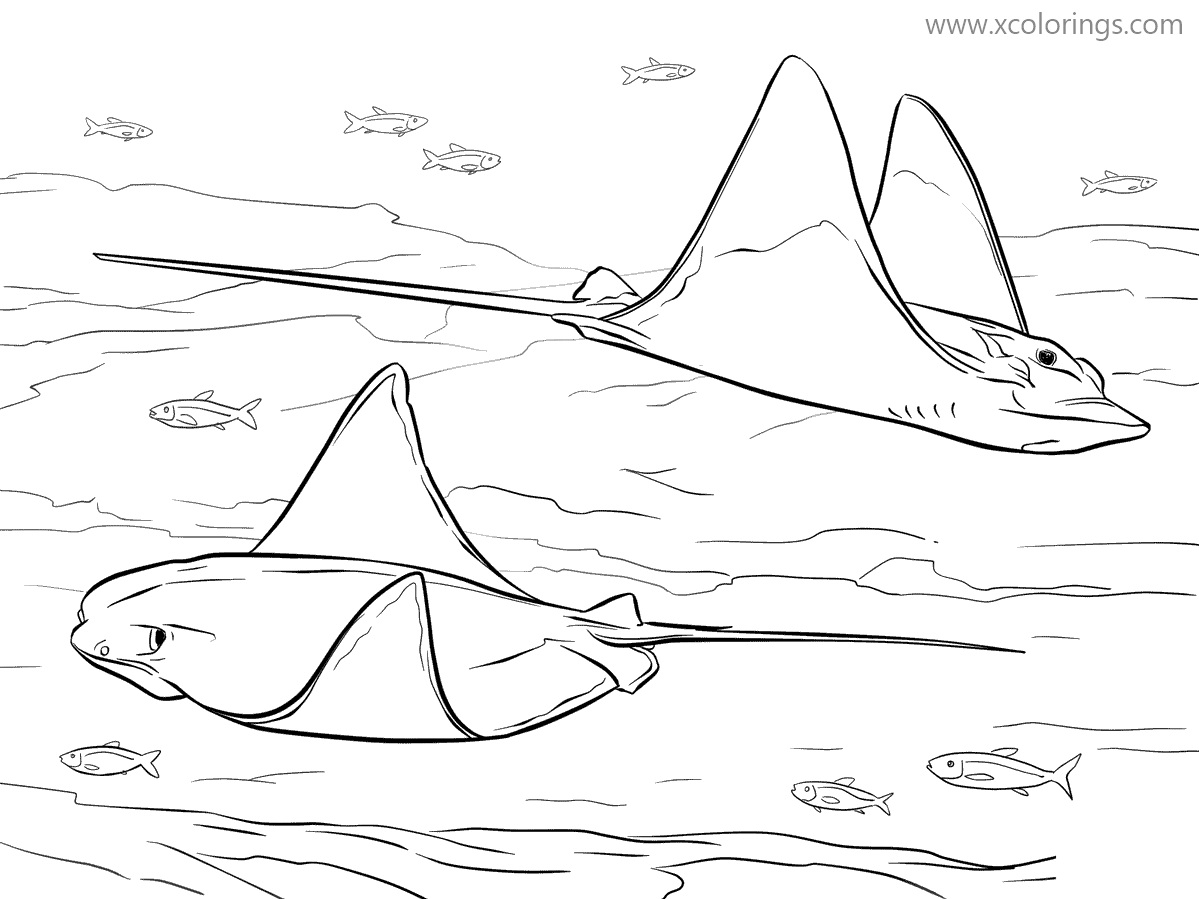 Featured image of post Stingray Coloring Pages Printable Here are some free printable stingray coloring pages in vector format for you to print and color