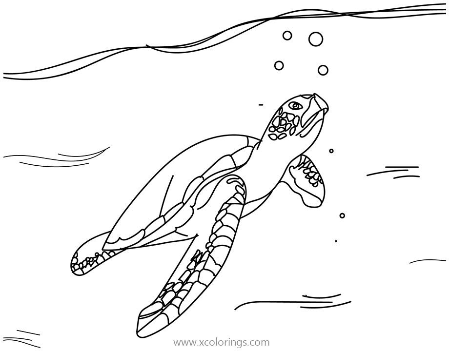 Free Green Sea Turtle with Bubbles Coloring Pages printable