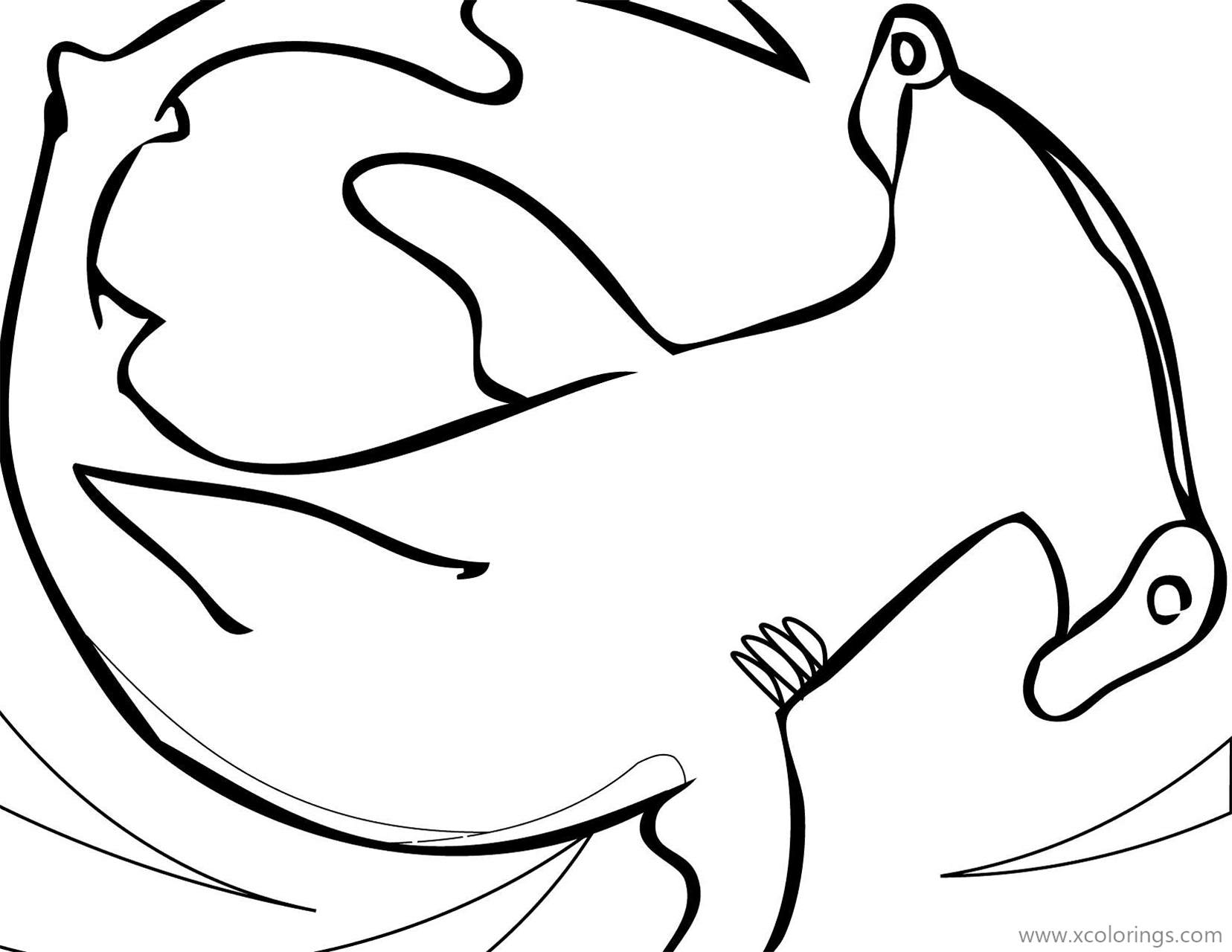 Free Hammerhead Shark Outline Coloring Pages printable
