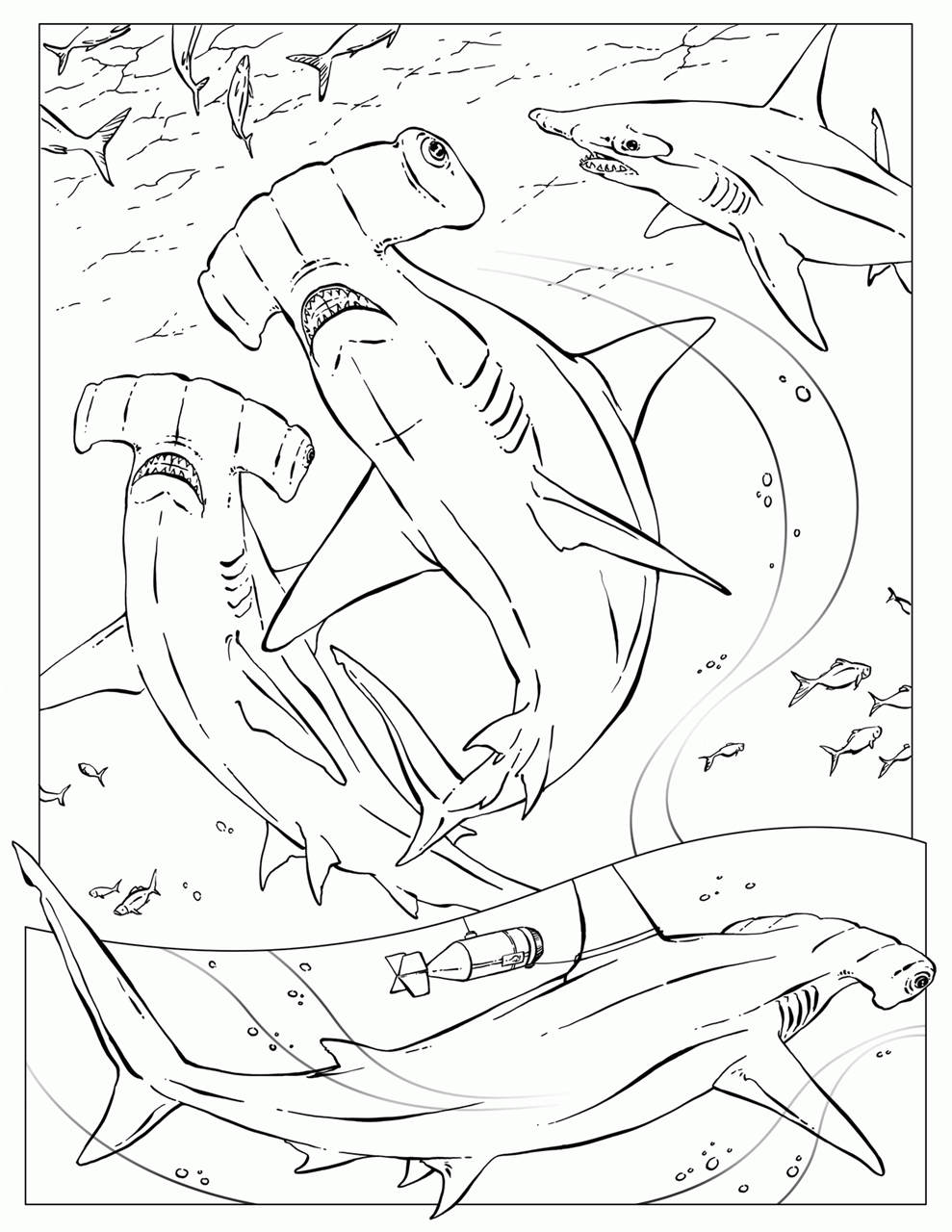 Free Hammerhead Shark and Bomb Coloring Pages printable