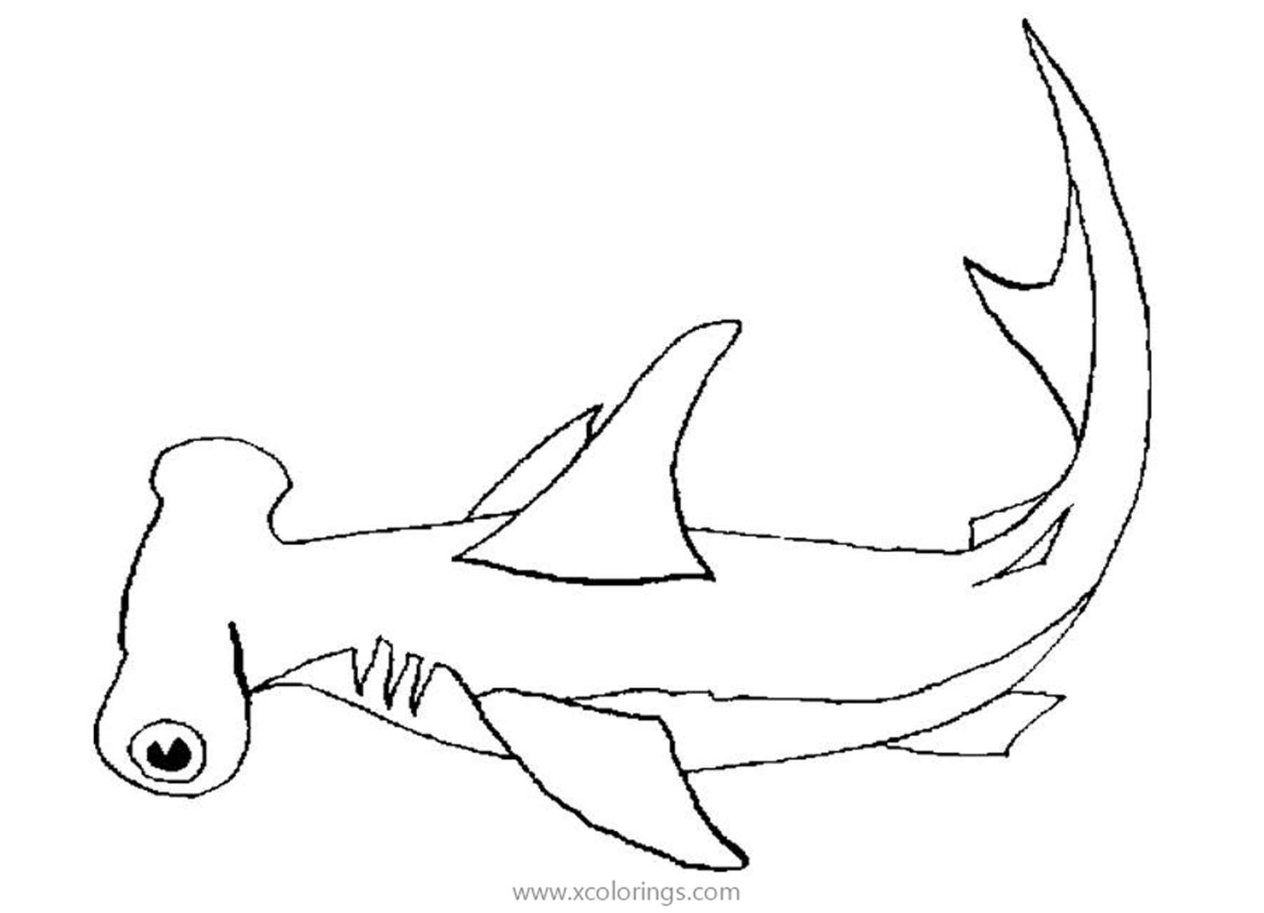 Free Hammerhead Shark with Big Eyes Coloring Pages printable