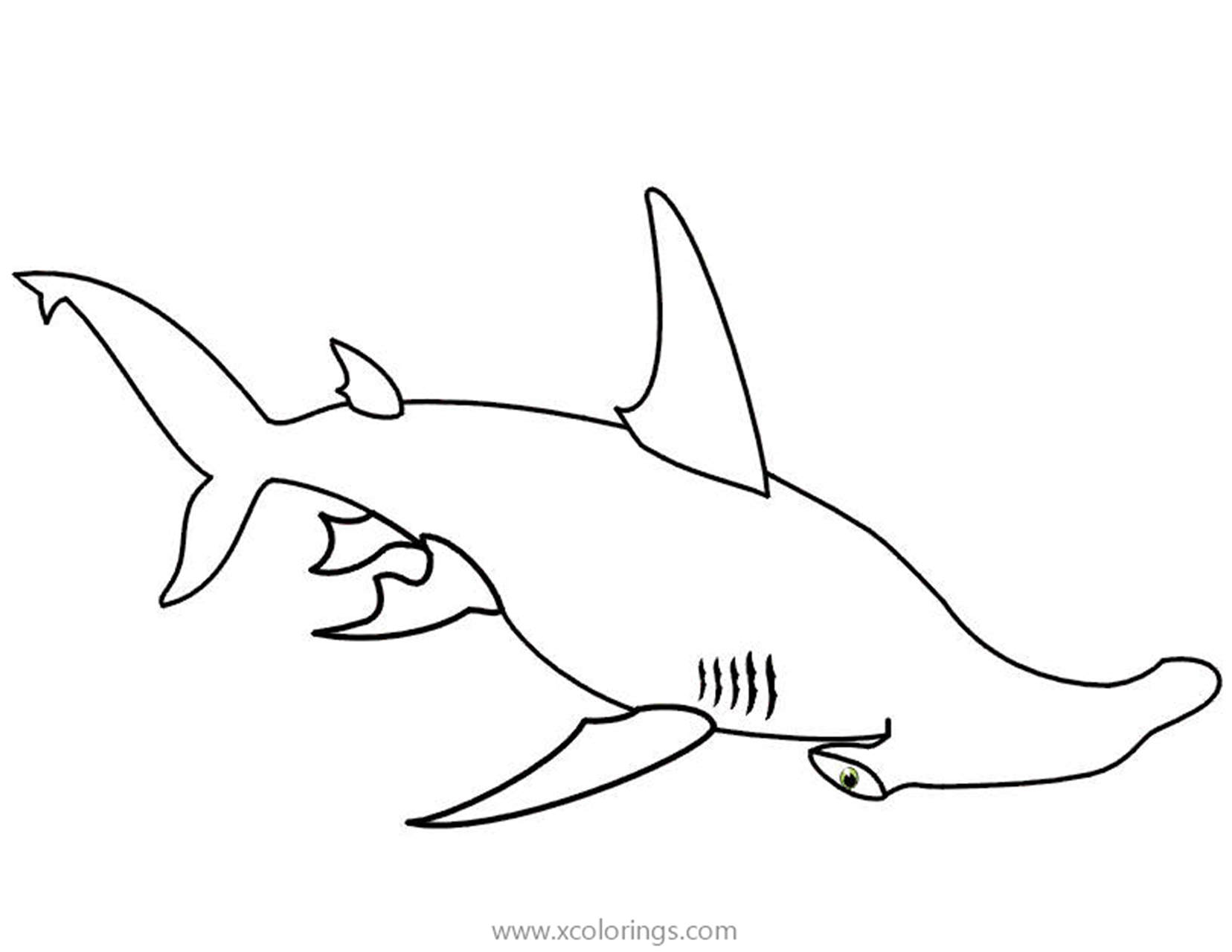 Free Kids Drawing Hammerhead Shark Coloring Pages printable