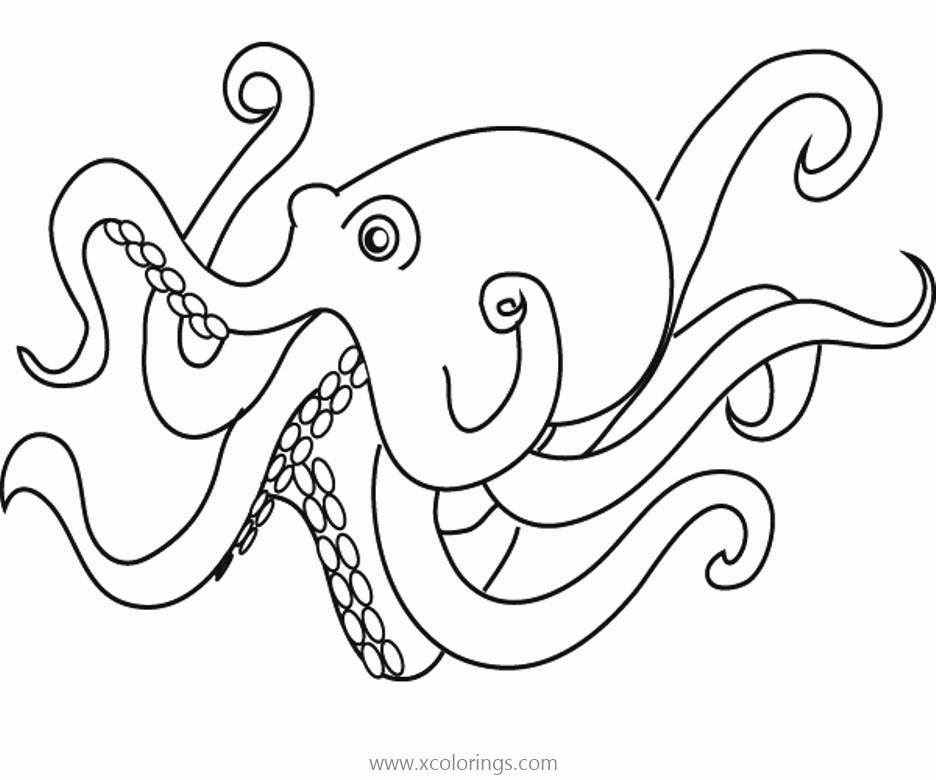 Free Linear of Octopus Coloring Pages printable