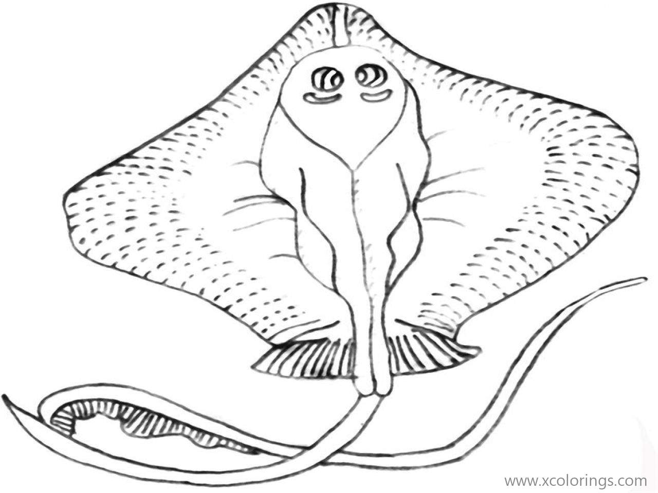 Free Long Tail Stingray Coloring Pages printable