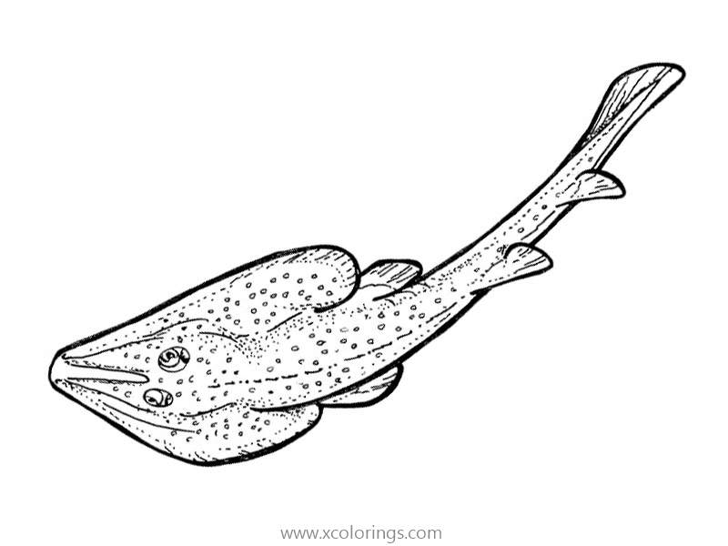 Free Majestic Stingray Coloring Pages printable