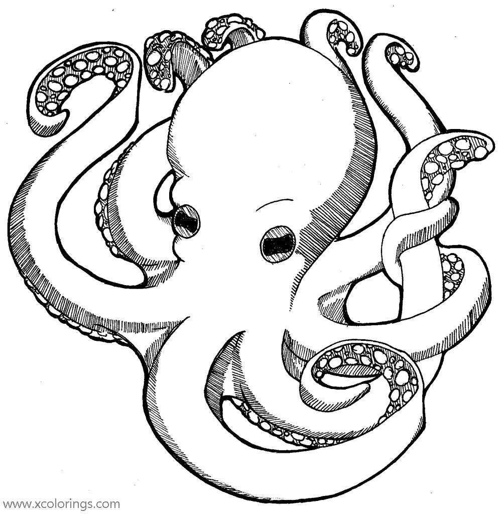 Free Ocean Animals Octopus Coloring Pages printable