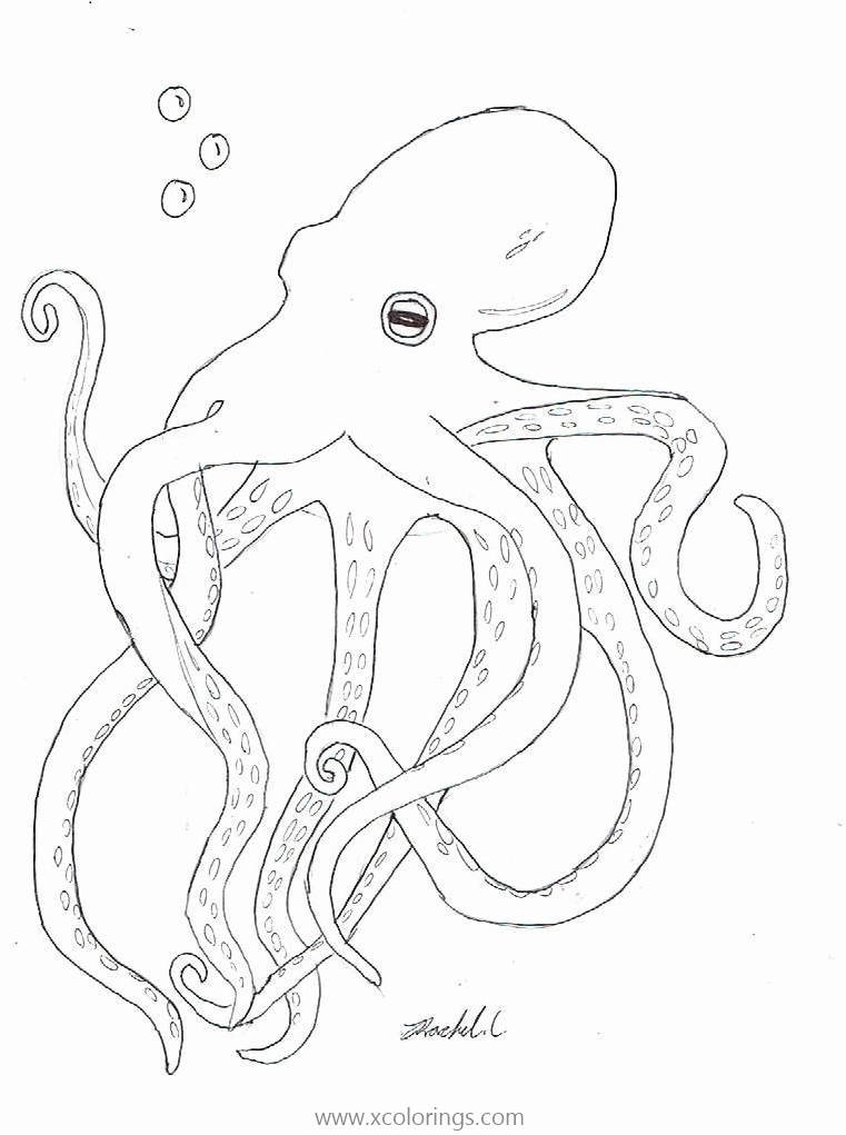 Free Octopus with Bubbles Coloring Pages printable