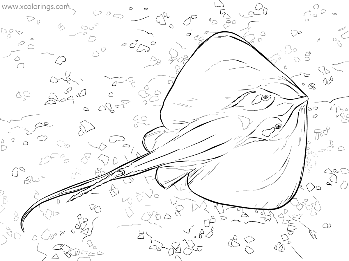 Free Realistic Stingray Coloring Pages printable