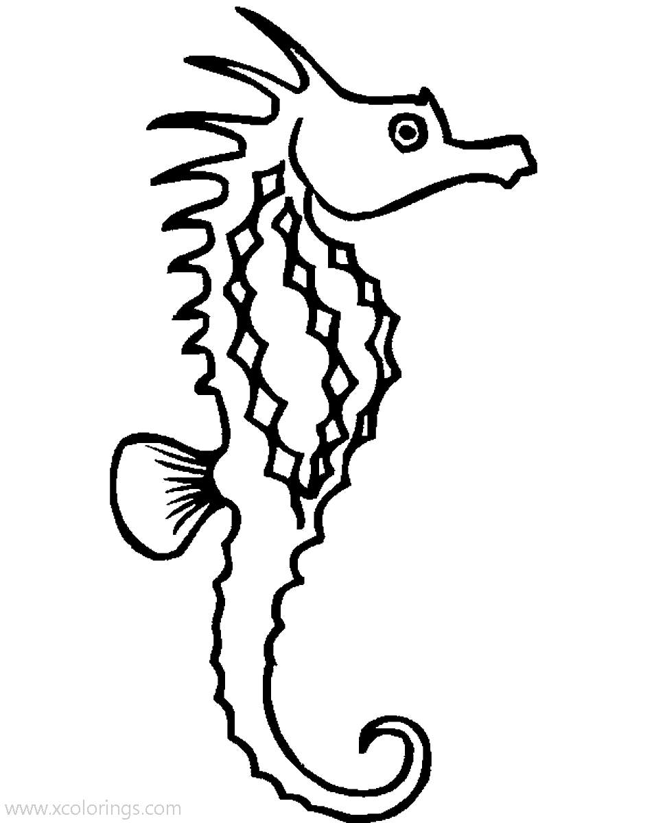 Free Sea Animals Seahorse Coloring Pages printable