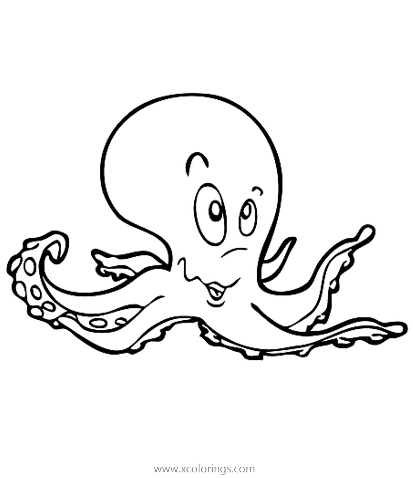 Free Sea Creatures Octopus Coloring Pages printable