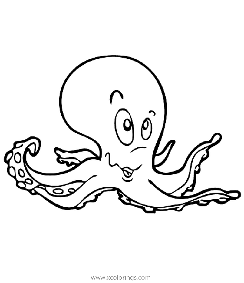 Sea Creatures Octopus Coloring Pages - XColorings.com