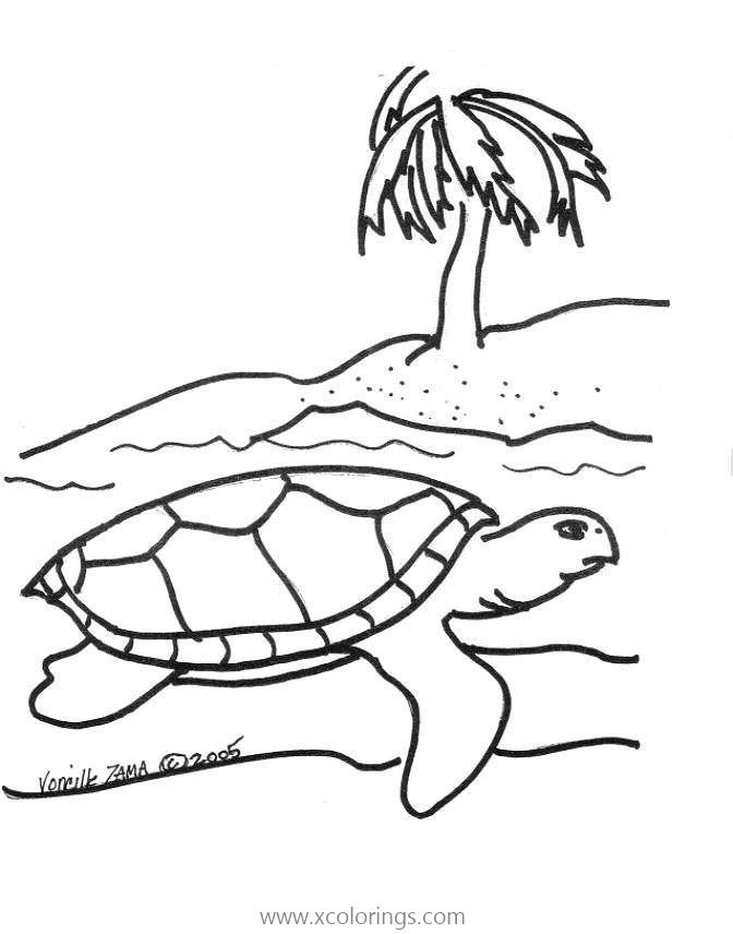 Free Sea Turtle At the Beach Coloring Pages printable