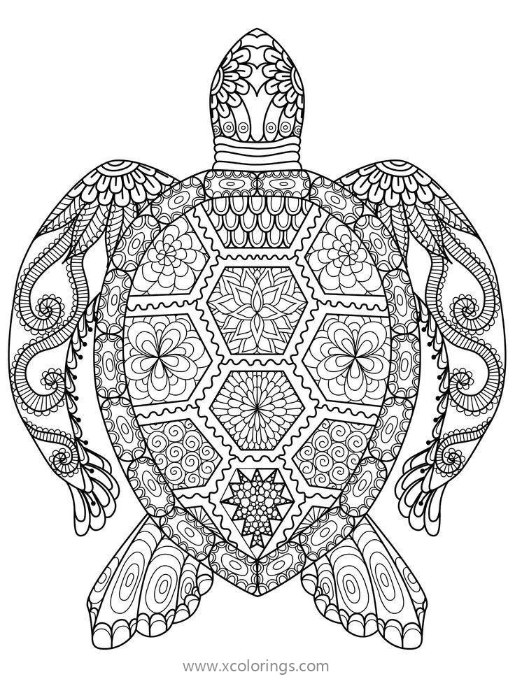 Free Sea Turtle Mandala Coloring Pages for Adults printable
