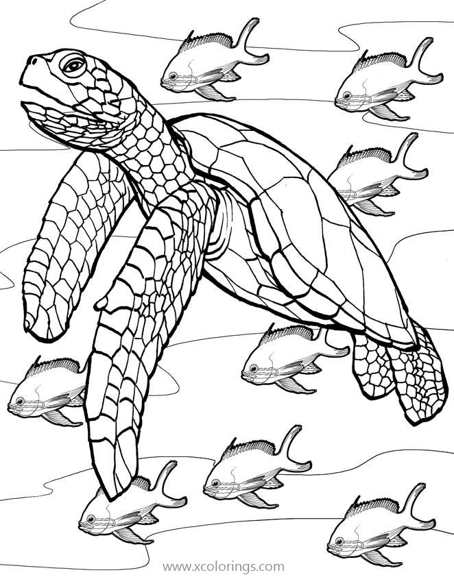 Free Sea Turtle Under the Sea Coloring Pages printable