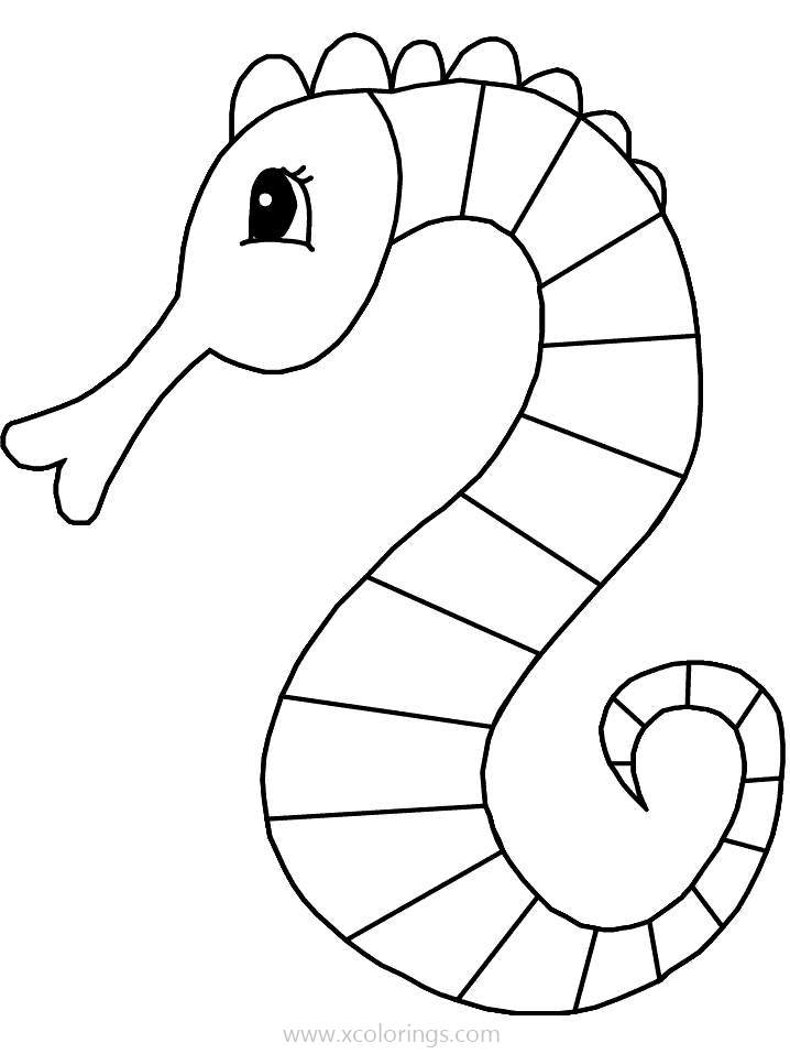 Free Seahorse Coloring Pages Easy for Kids printable