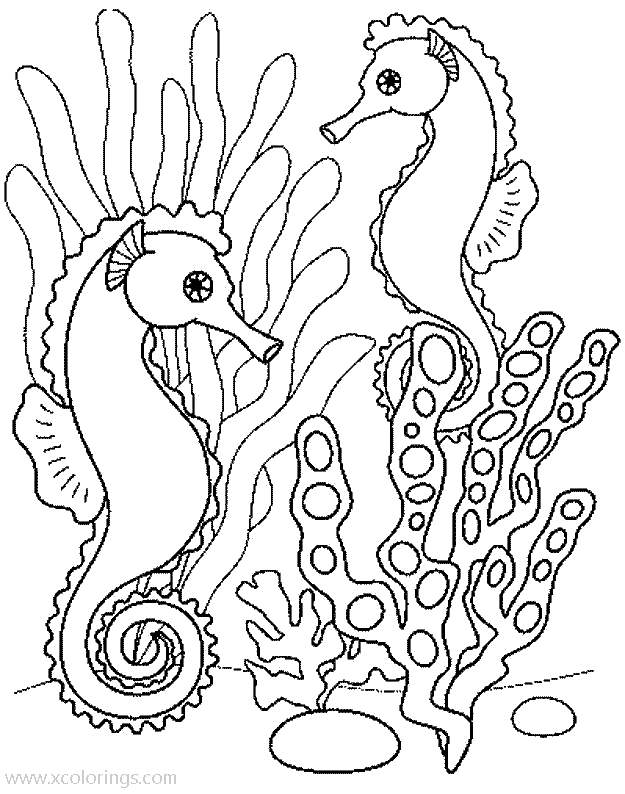 Free Seahorses Coloring Pages printable