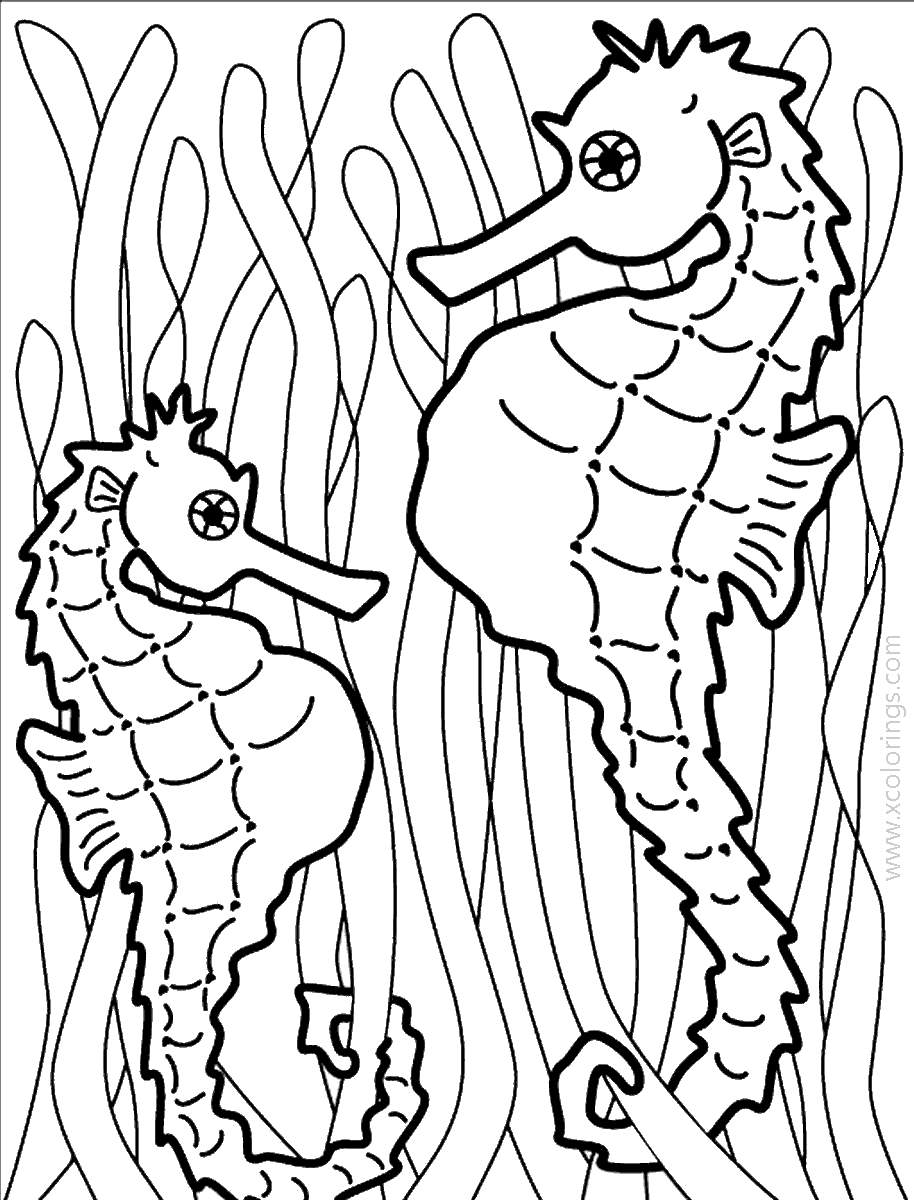 Free Seahorses Under The Sea Coloring Pages printable