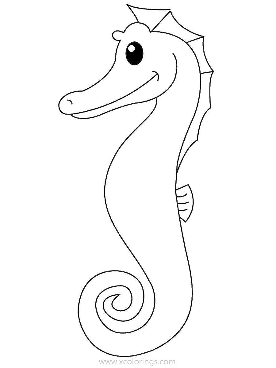 Free Simple Drawing Seahorse Coloring Pages printable