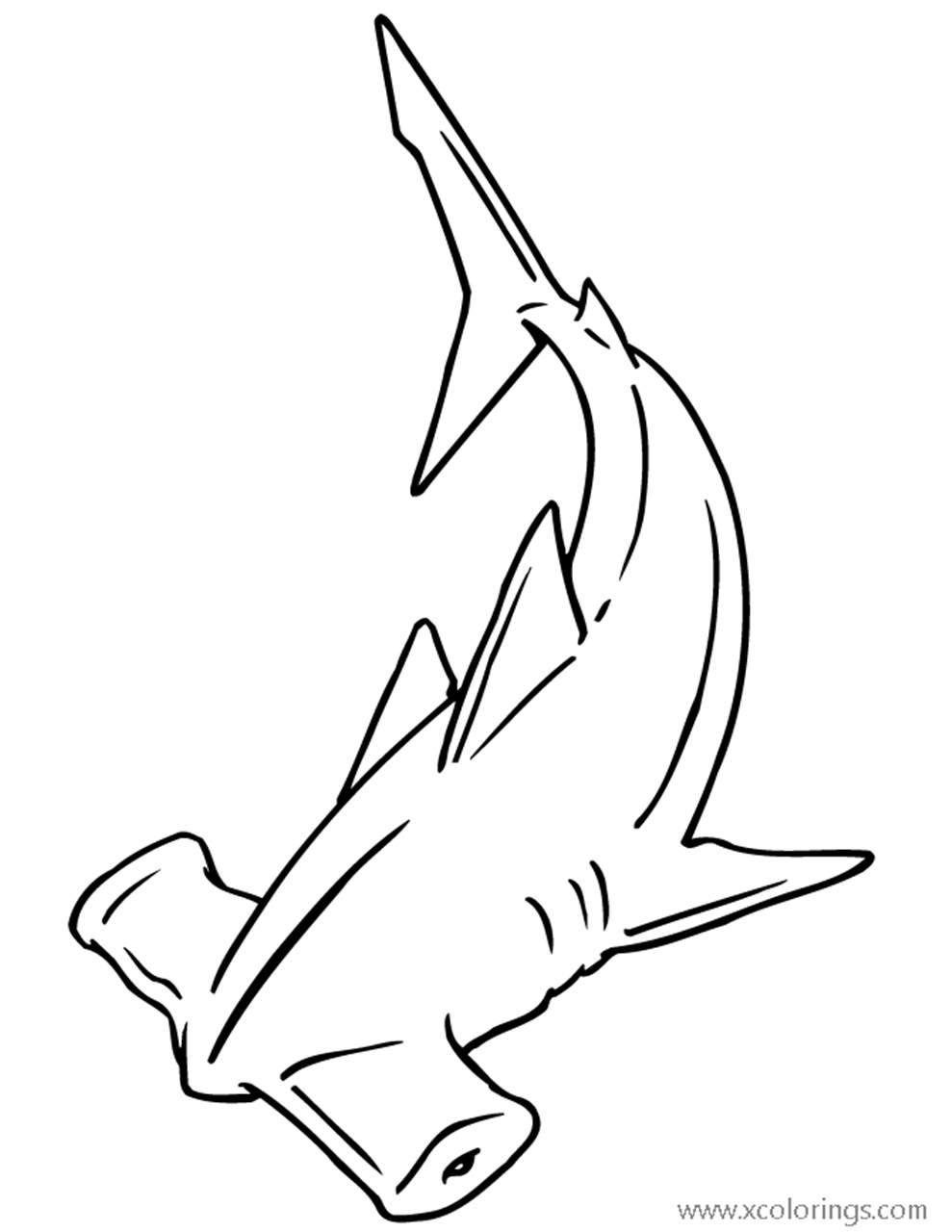 Free Sphyrna Zygaena Hammerhead Shark Coloring Pages printable