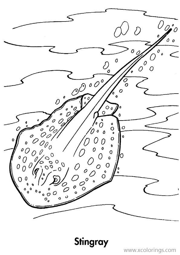 Free Stingray Coloring Pages Eagle Ray printable