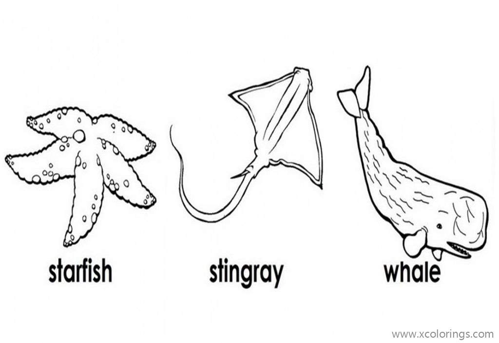 Free Stingray Coloring Pages with Starfish and Whale printable