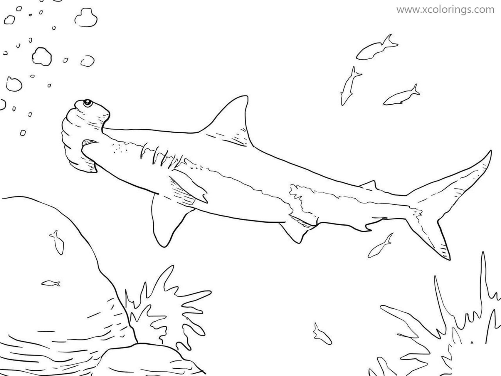 Free The Sea Animals Hammerhead Shark Coloring Pages printable