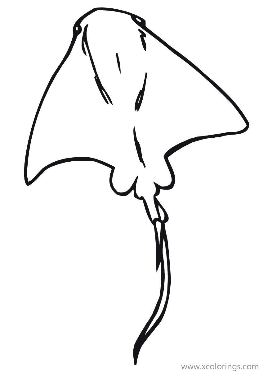 Free Thorntail Stingray Coloring Pages printable