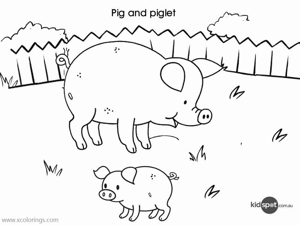 Free A Baby Pig and Mother Coloring Pages printable