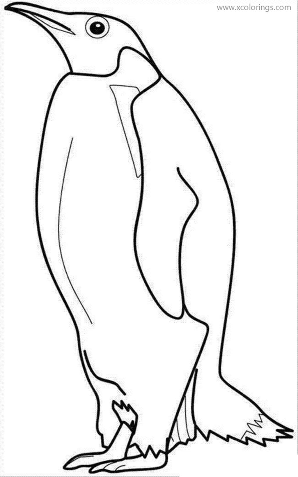 Free A Fat Penguin Coloring Page printable