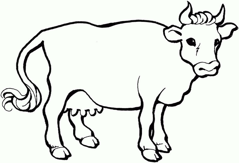Free Adult Angus Cow Coloring Pages printable