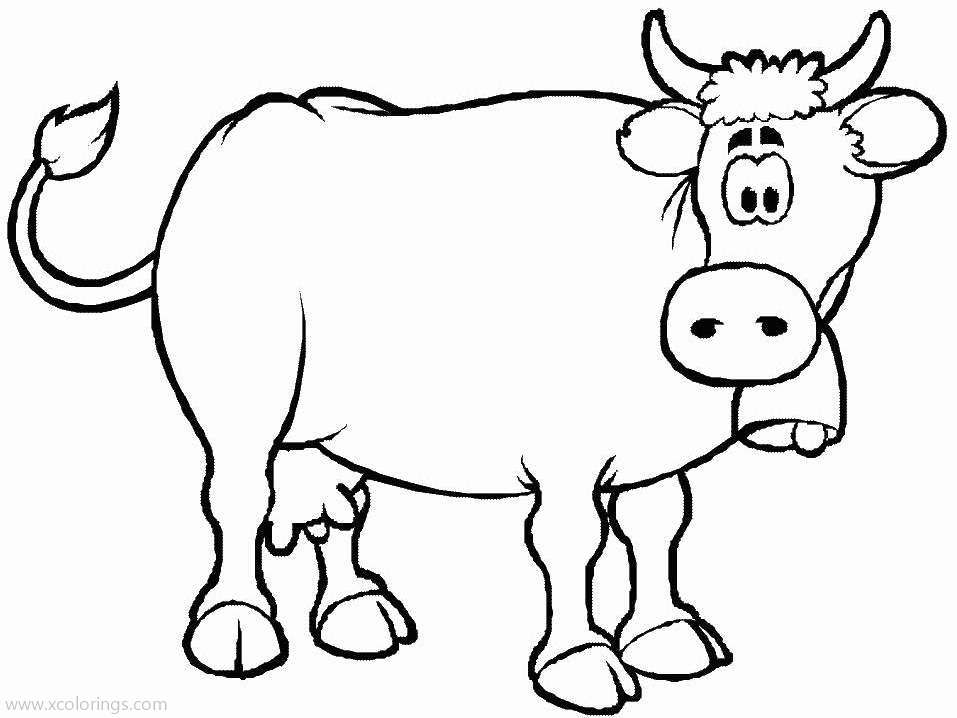 Free Adult Cow Coloring Pages printable