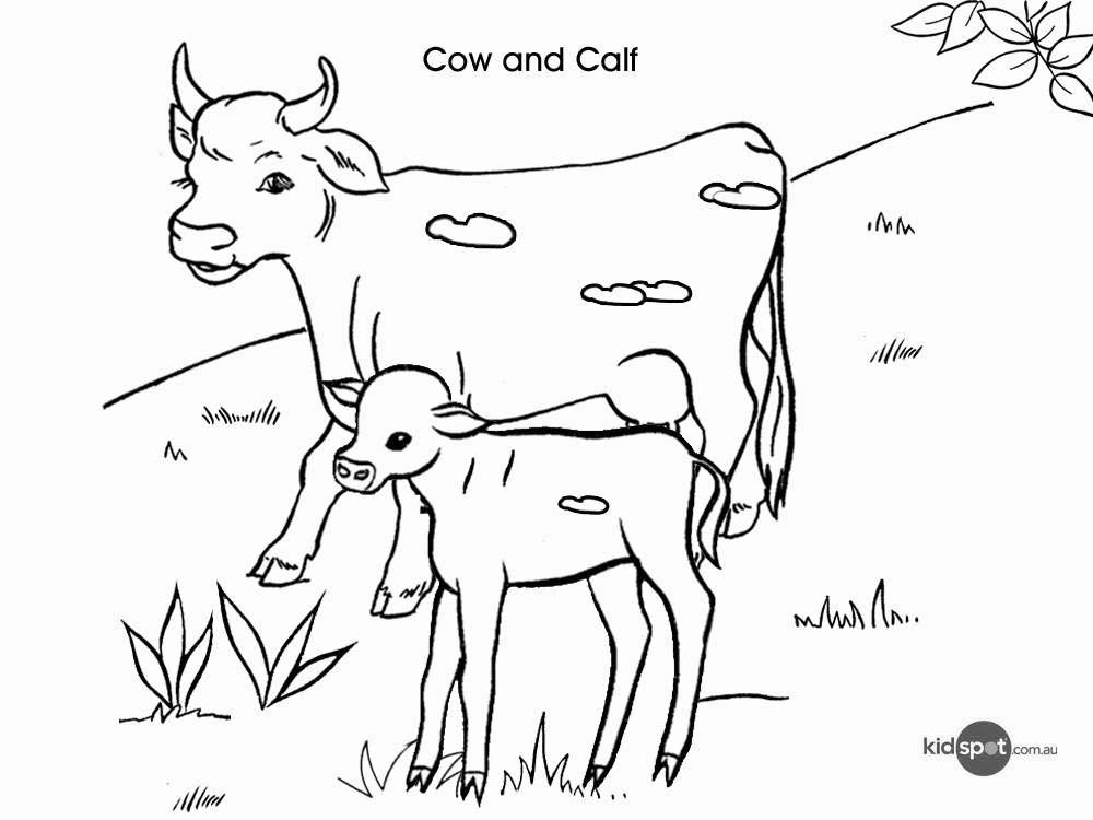 Free Adult Cow and Little Cow Coloring Pages printable