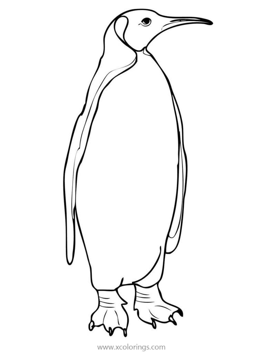 Free Adult Emperor Penguin Coloring Pages printable