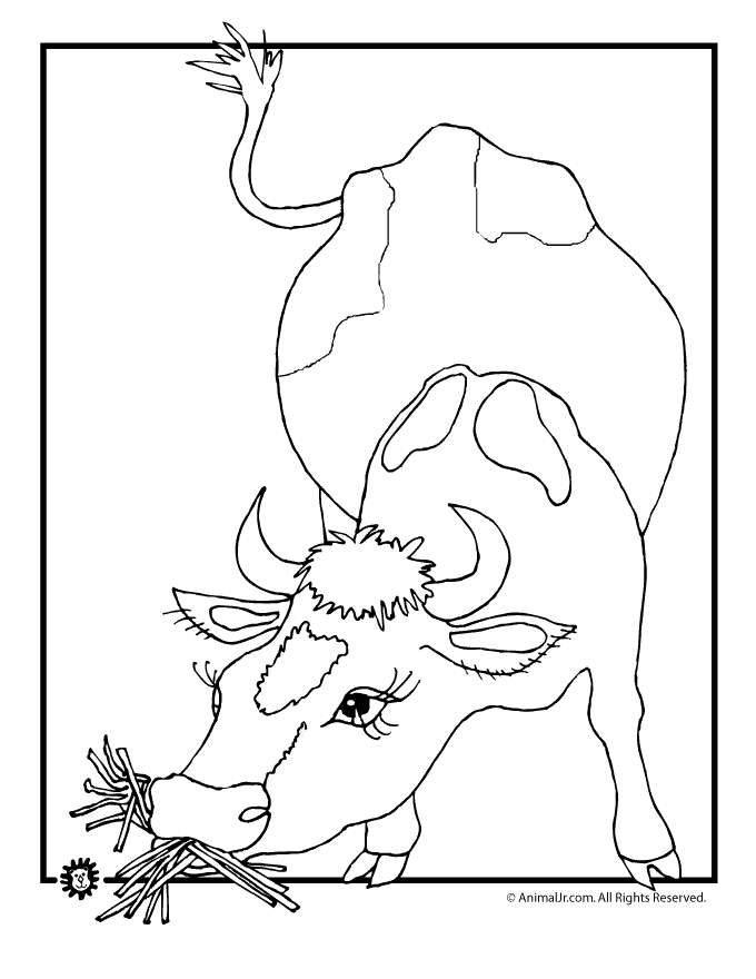 Free Adult Holstein Cow Coloring Pages printable