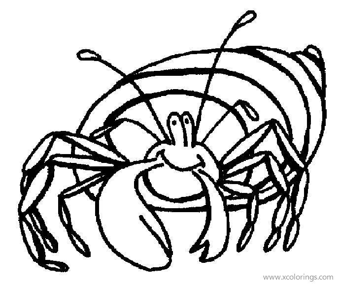 Free Animated Hermit Crab Coloring Page printable