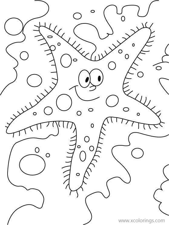 Free Animated Starfish Coloring Pages printable
