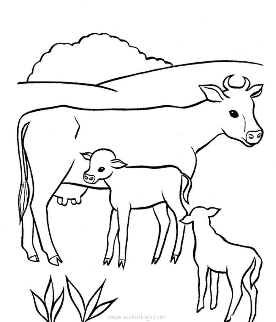 Free Baby Cows Drinking Milk Coloring Pages printable